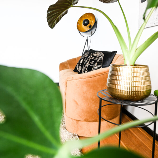 Couch, plants, pharaos